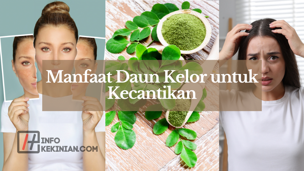 Manfaat Daun Kelor untuk Kecantikan