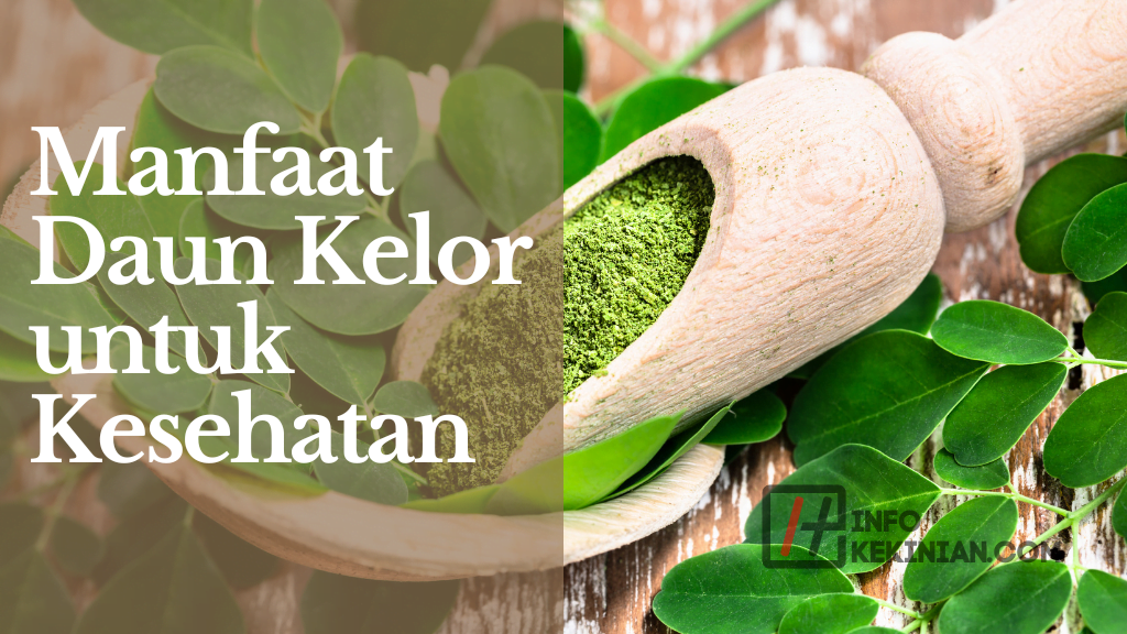 Manfaat Daun Kelor untuk Kesehatan