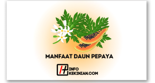 Manfaat Daun Pepaya untuk Kesehatan