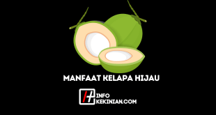 Manfaat Kelapa Hijau serta Efek Sampingnya