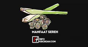 Manfaat Sereh untuk KesehatanTubuh, Penting Kamu Ketahui!