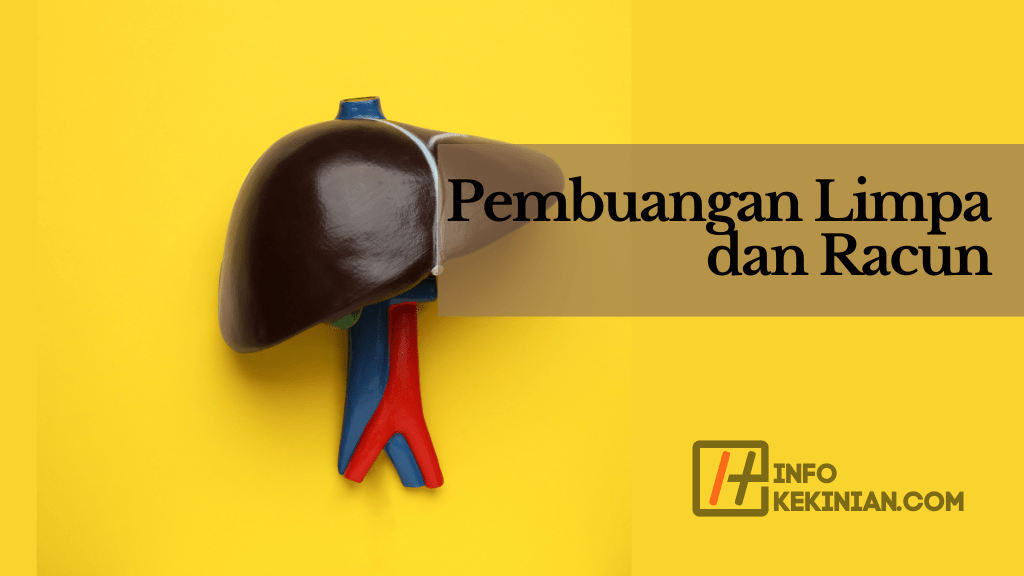 Pembuangan Limpa dan Racun