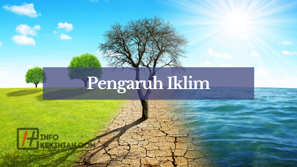 Perbedaan Angin Muson Barat dan Timur