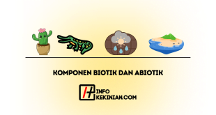 Perbedaan Komponen Biotik dan Abiotik
