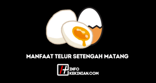 Manfaat Telur Setengah Matang untuk Kesehatan, Wajib Diketahui!