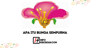 Apa Itu Bunga Sempurna_ Pengertian, Karakteristik, serta Fungsinya dalam Reproduksi Tumbuhan