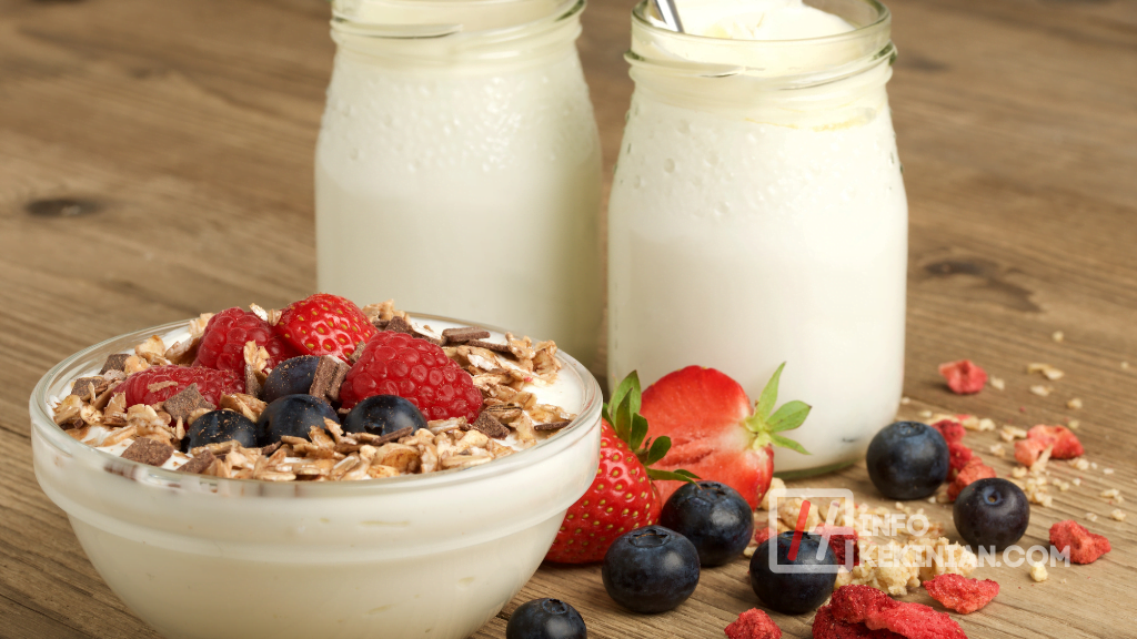Apa Itu Yogurt