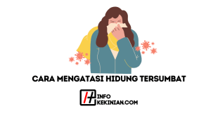 Cara Mengatasi Hidung Tersumbat Secara Alami