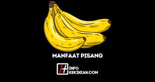 Ciri-ciri dan Manfaat Pisang untuk Kesehatan yang Penting Kamu Ketahui!