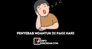Faktor Penyebab Ngantuk di Pagi Hari Dampak, Tips dan Cara Mengatasinya