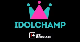 IDOLCHAMP_ Aplikasi Wajib untuk Penggemar K-pop