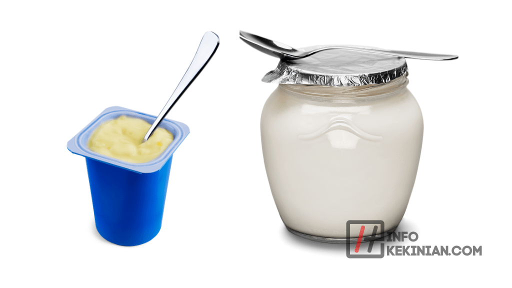 Jenis-Jenis Yogurt
