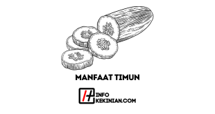 Manfaat Timun untuk Kesehatan