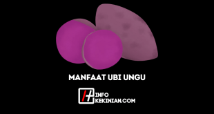 Manfaat Ubi Ungu yang Jarang Orang Ketahui