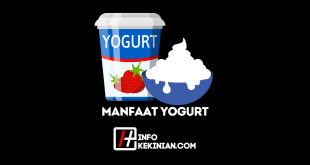 Manfaat Yogurt untuk Kesehatan Tubuh yang Wajib Diketahui