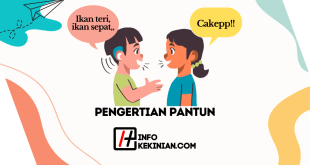 Pengertian Pantun Ciri-Ciri, Fungsi, serta Aspek Penting Lainnya