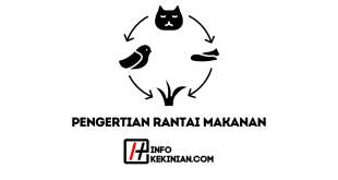 Pengertian Rantai Makanan Komponen serta Fungsinya dalam Ekosistem