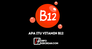 Apa Itu Vitamin B12 Manfaat, Gejala, serta Aspek Penting Lainnya