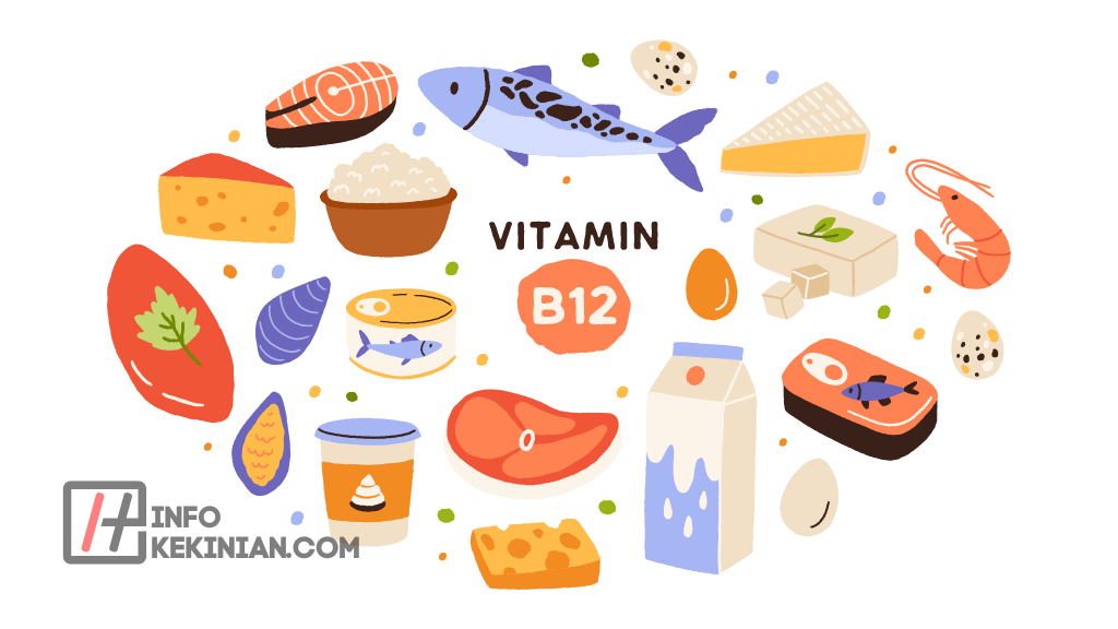Apa Itu Vitamin B12