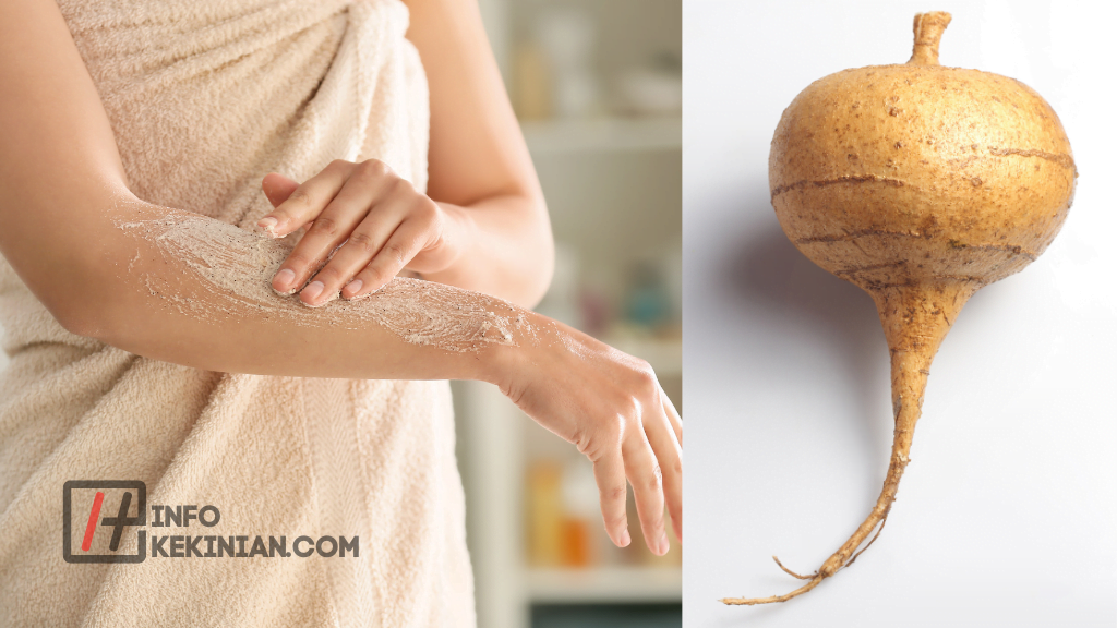 Bengkoang sebagai Bahan Kecantikan