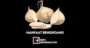 Manfaat Bengkoang untuk Kesehatan, Wajib Diketahui!