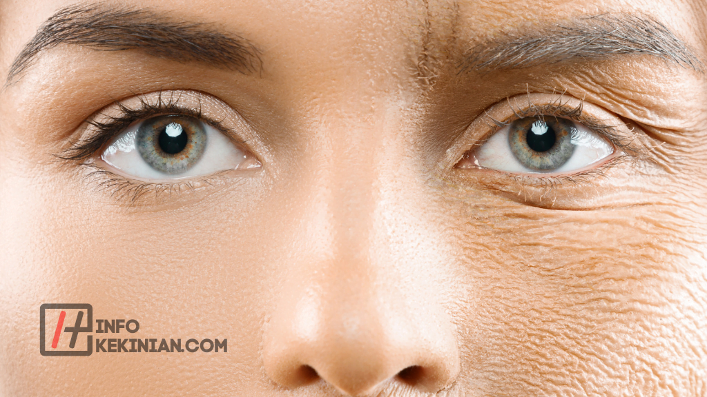 Manfaat Bengkoang untuk Kesehatan