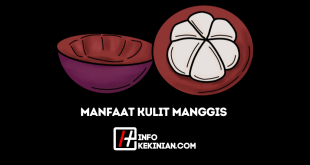 Manfaat Kulit Manggis untuk Kesehatan, Wajib Kamu Ketahui!