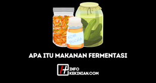 Apa Itu Makanan Fermentasi Penjelasan Lengkap dan Manfaatnya bagi Kesehatan