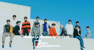 Biodata Member Seventeen Profil Lengkap Idol Favoritmu, Wajib Diketahui!