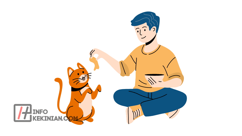 Cara Merawat Kucing dengan Baik dan Benar