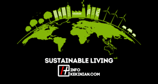 Sustainable Living Gaya Hidup Ramah Lingkungan di Era Modern