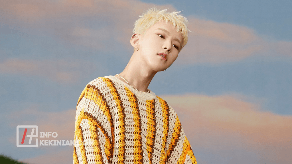 biodata member seventeen Hoshi