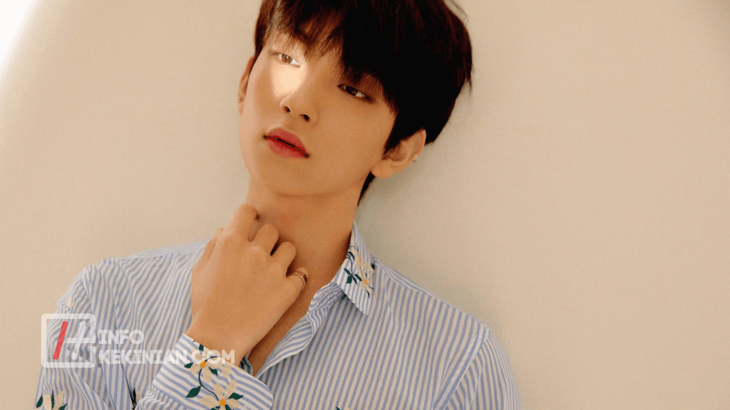 biodata member seventeen Joshua
