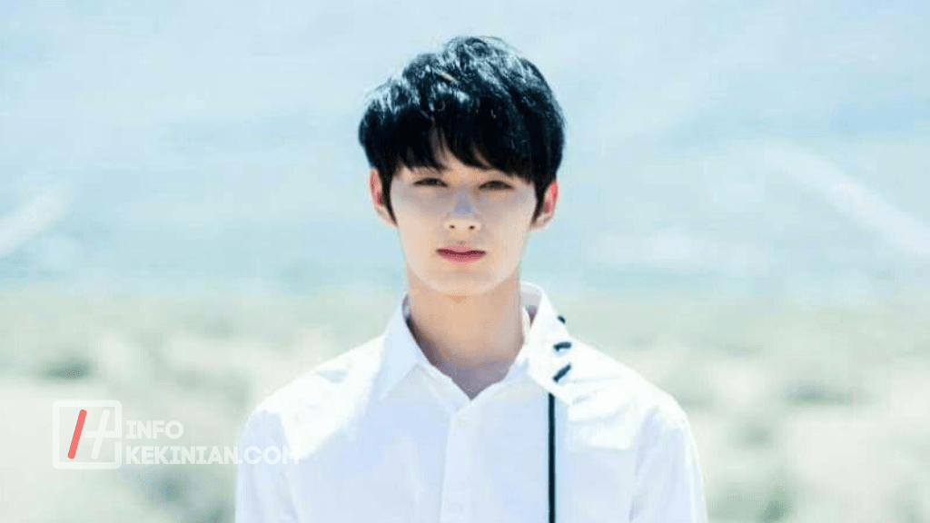 biodata member seventeen Jun