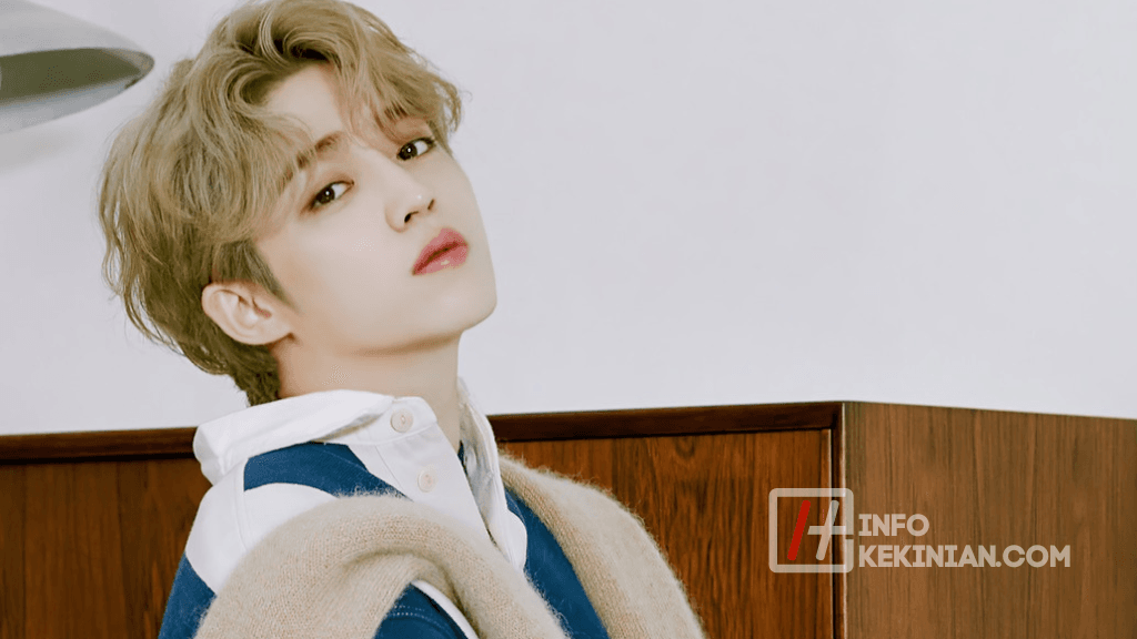 biodata member seventeen S. Coups